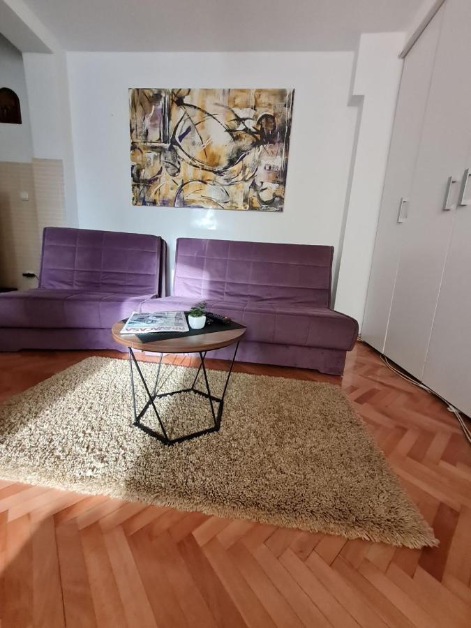 Apartman Veselinovic Free Parking Vranje Exteriér fotografie